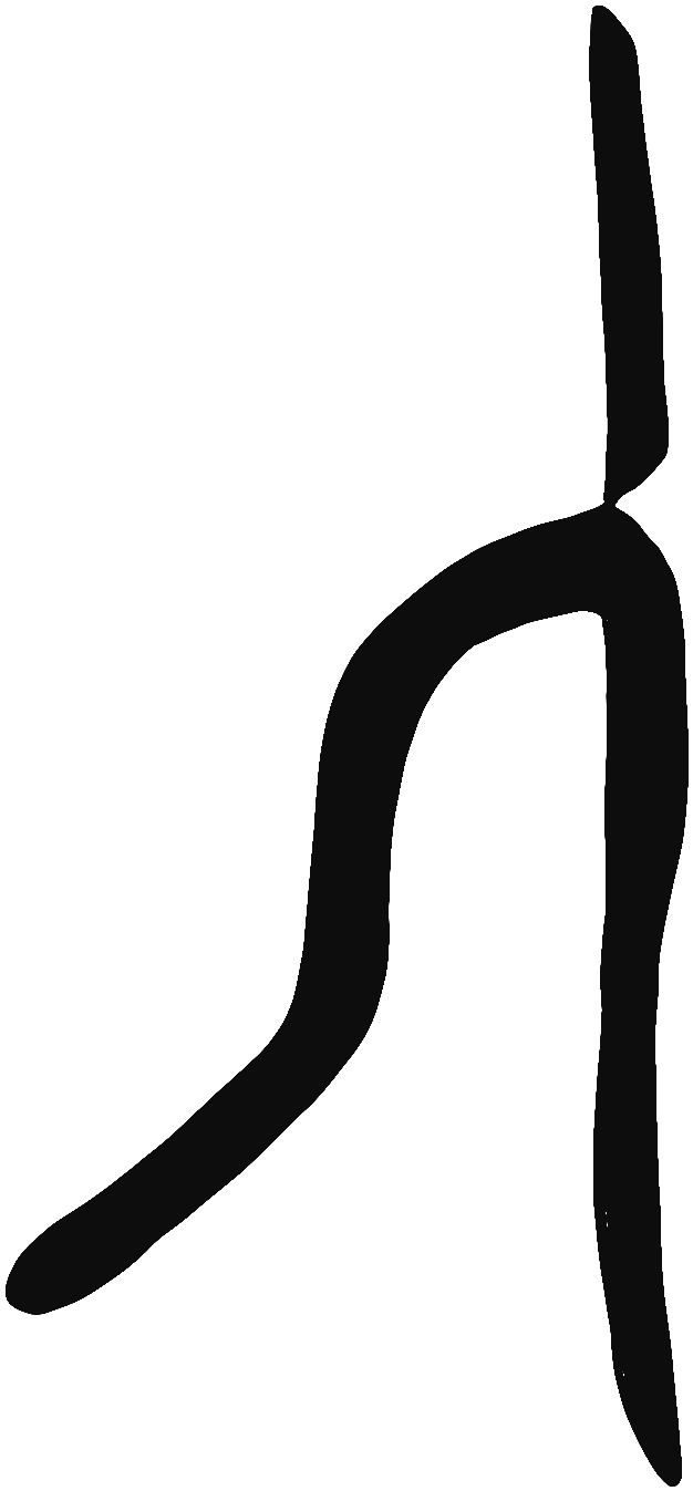Image of the occurrence